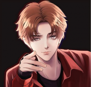 WordPress（设置文章隐藏内容）会员登陆才可见功能-忆思阁博客-专注精品资源分享